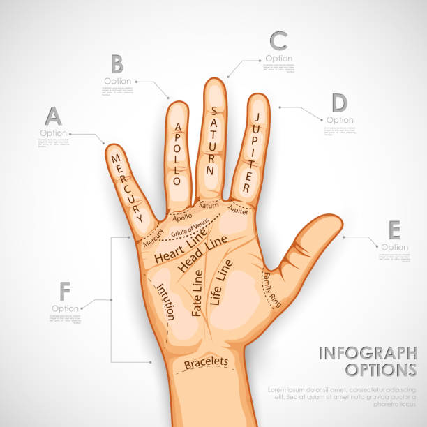 Palm Reading Image